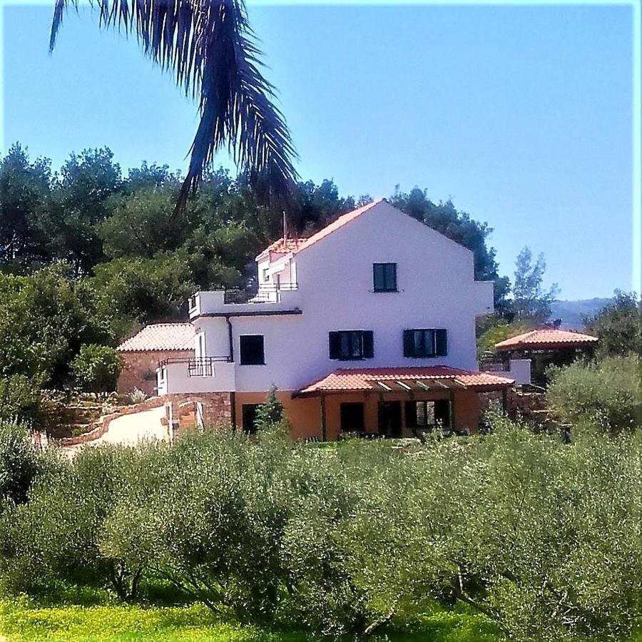 Lavender Hill Hvar Villa - pool, jacuzzi,sauna,BBQ Stari Grad  Esterno foto