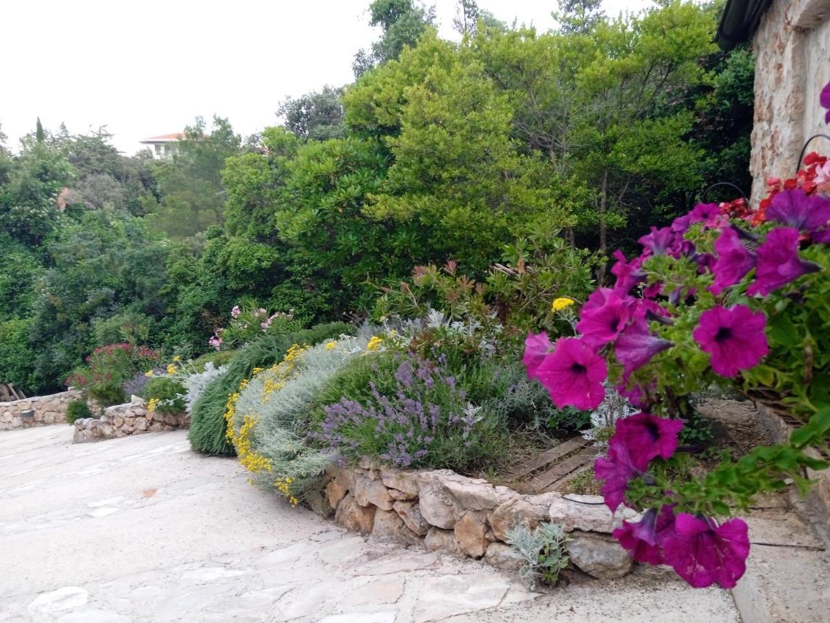 Lavender Hill Hvar Villa - pool, jacuzzi,sauna,BBQ Stari Grad  Esterno foto