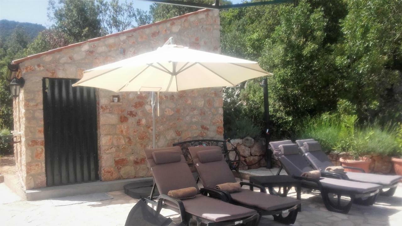 Lavender Hill Hvar Villa - pool, jacuzzi,sauna,BBQ Stari Grad  Esterno foto