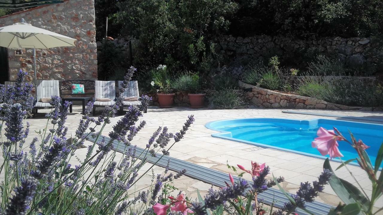 Lavender Hill Hvar Villa - pool, jacuzzi,sauna,BBQ Stari Grad  Esterno foto